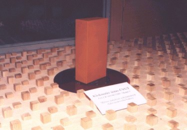 1998 - Model vysok budovy (P1) pro men tlak na povrchu budovy